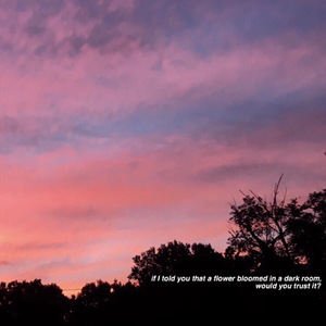 麻豆MD传媒MD男优gαy
