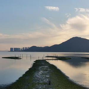 麻豆MD传媒MD男优gαy
