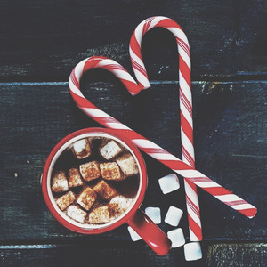 麻豆MD传媒MD男优gαy
