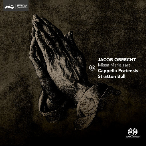 麻豆MD传媒MD男优gαy
